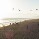 Illustration for article titled 39 Photos Of Your Amazing Summer Vacations